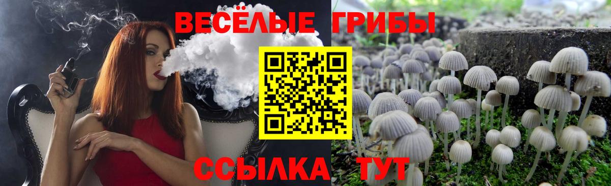 Псилоцибиновые грибы Psilocybe Симферополь